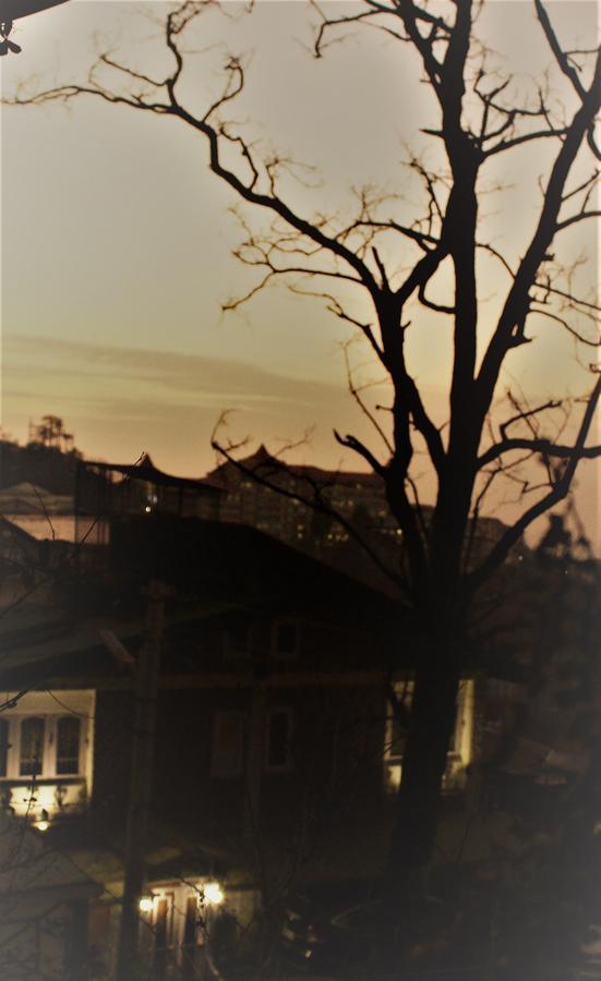 Prakash Cottage Shimla Esterno foto